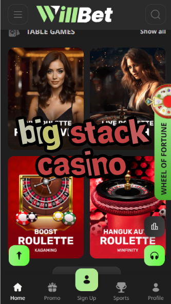 Big Stack Casino - High Roller Poker Experience-casinoorder.vip