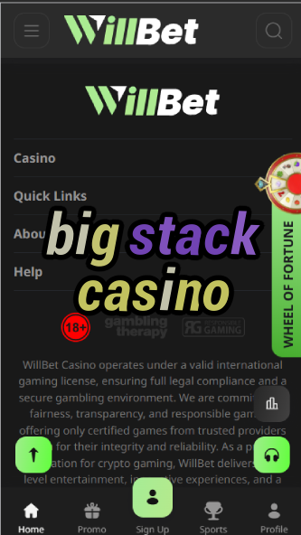 Big Stack Casino - High Roller Poker Experience-casinoorder.vip