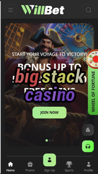 Big Stack Casino - High Roller Poker Experience-casinoorder.vip